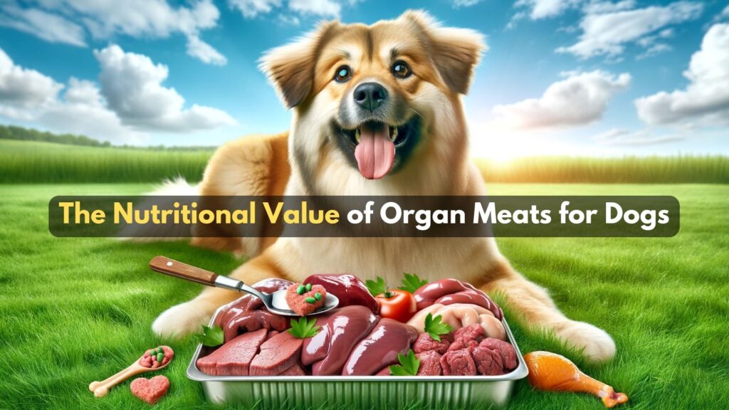 the-nutritional-value-of-organ-meat-for-dogs