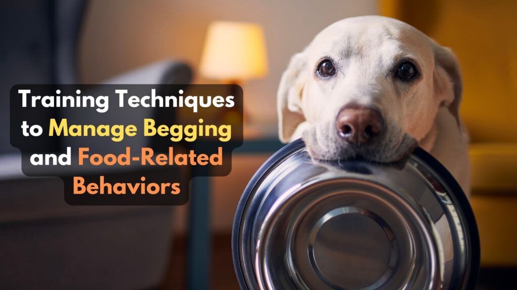 training-techniques-to-manage-begging-and-food-related-behaviors