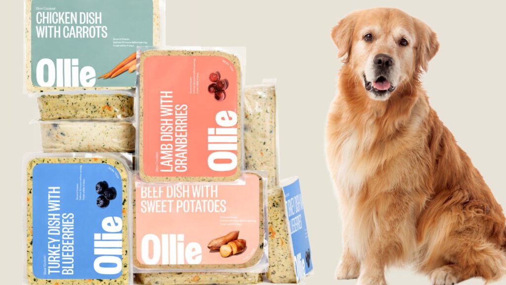 what-are-the-protein-sources-in-Ollie-dog-food-image