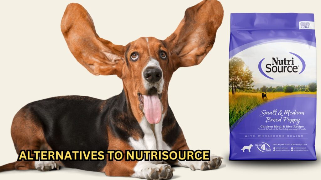 best-alternatives-to-nutrisource-dog-food