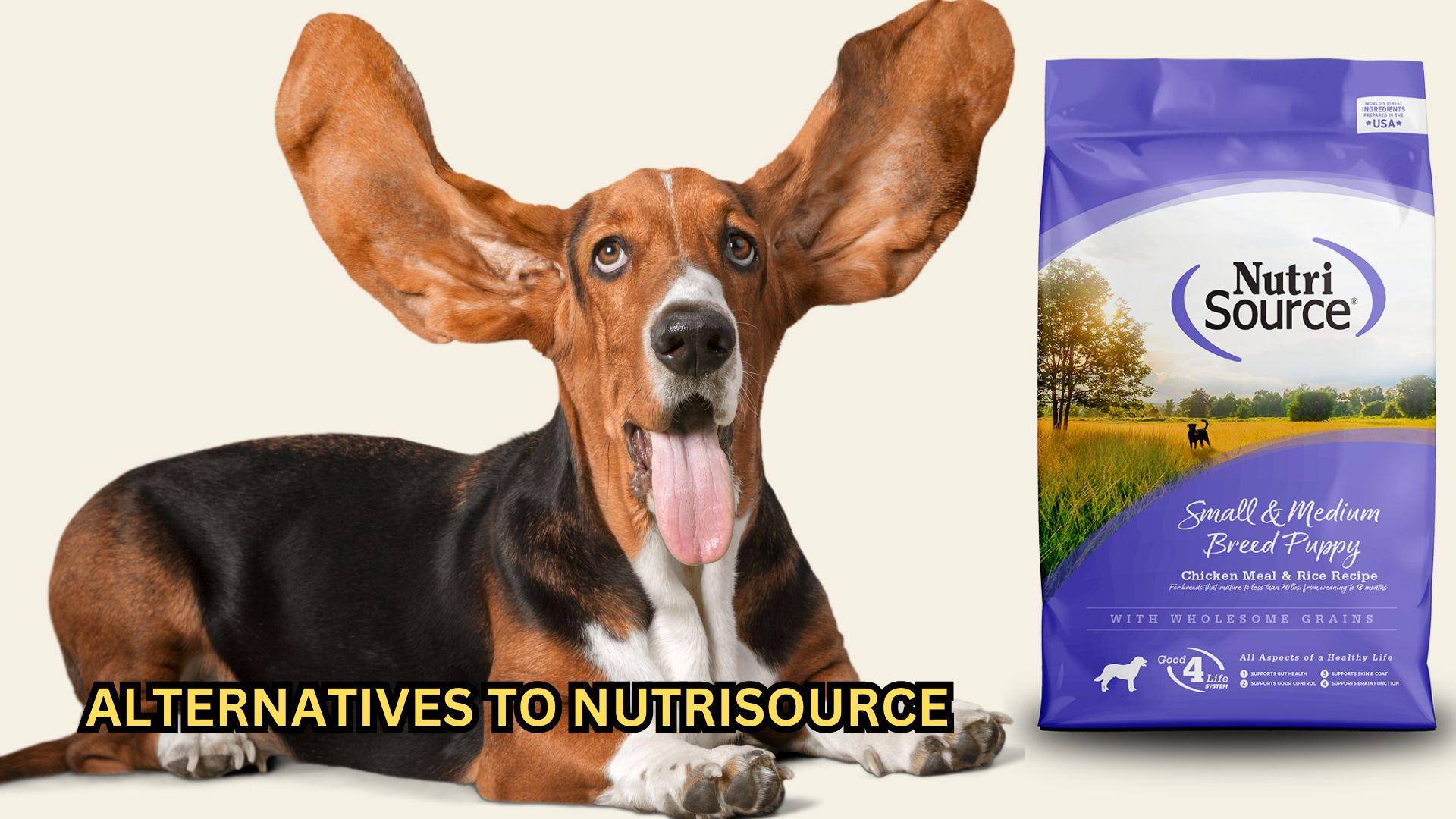 Alternatives To Nutrisource Dog Food Top Comparable Brands!