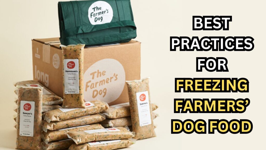 best-practices-for-freezing-farmers-dog-food