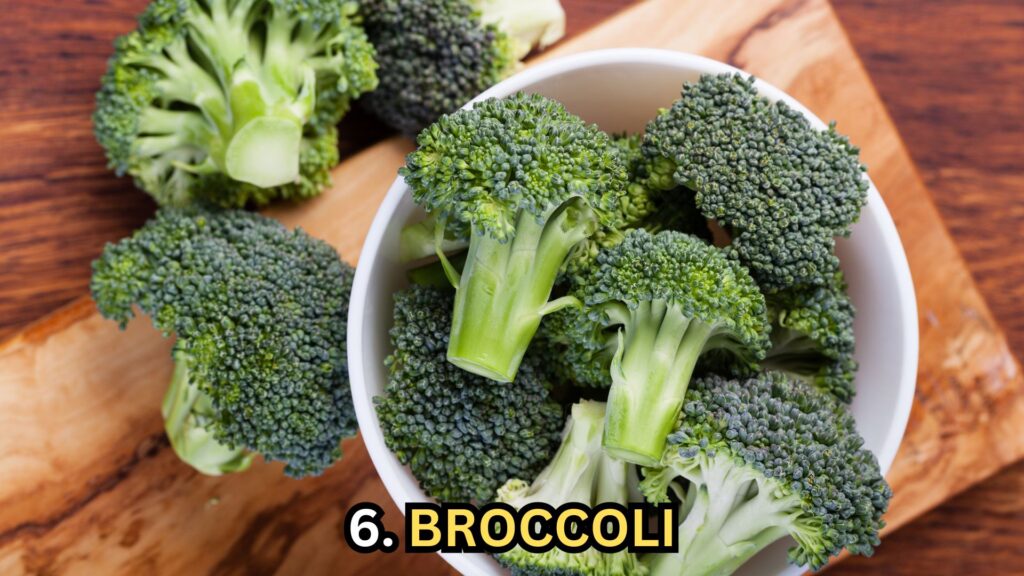 broccoli-for-dogs