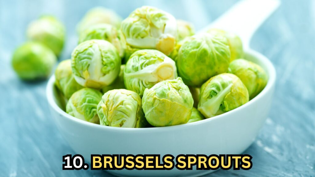 brussels-sprouts-for-dogs
