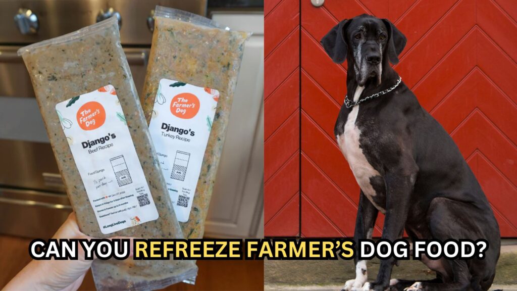 can-you-refreeze-farmers-dog-food