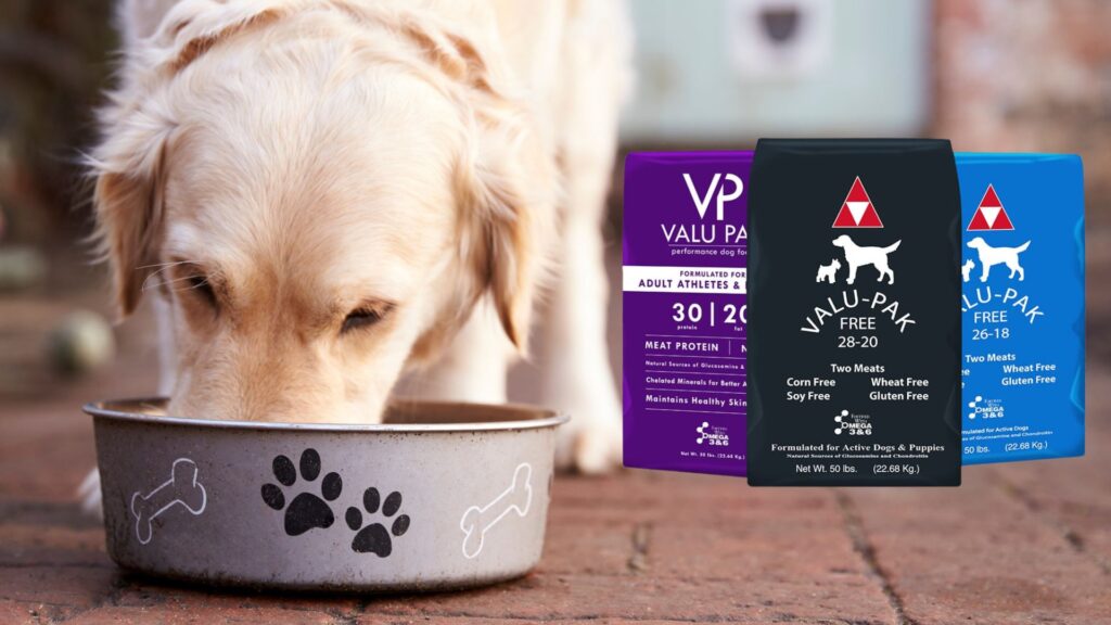 choose-the-right-valu-pak-product-for-your-dog