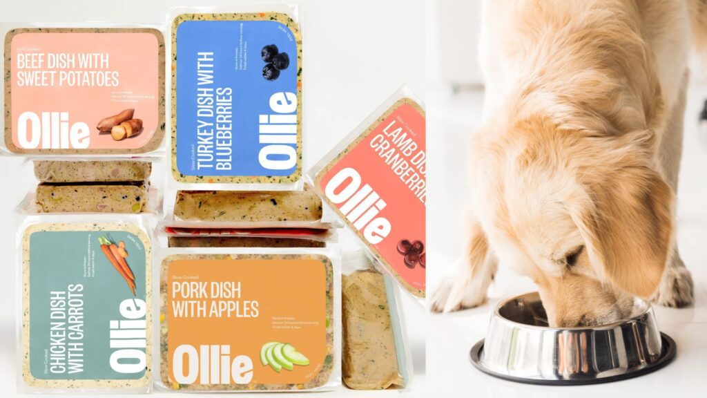 cost-analysis-of-ollie-dog-food-vs-homemade-recipes