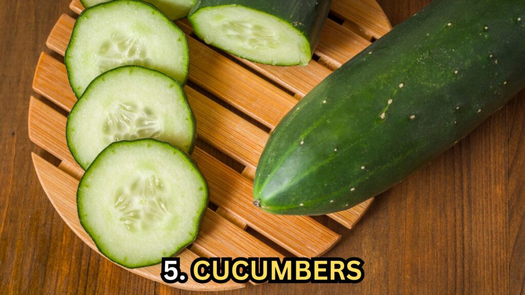 cucumbers-for-dogs