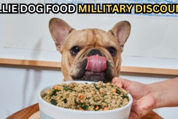 does-ollie-dog-food-provide-millitary-discounts