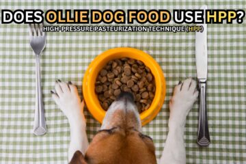 does-ollie-use-hpp-technique-in-their-pet-food-manufacturing