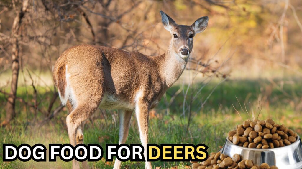 dog-food-for-deers