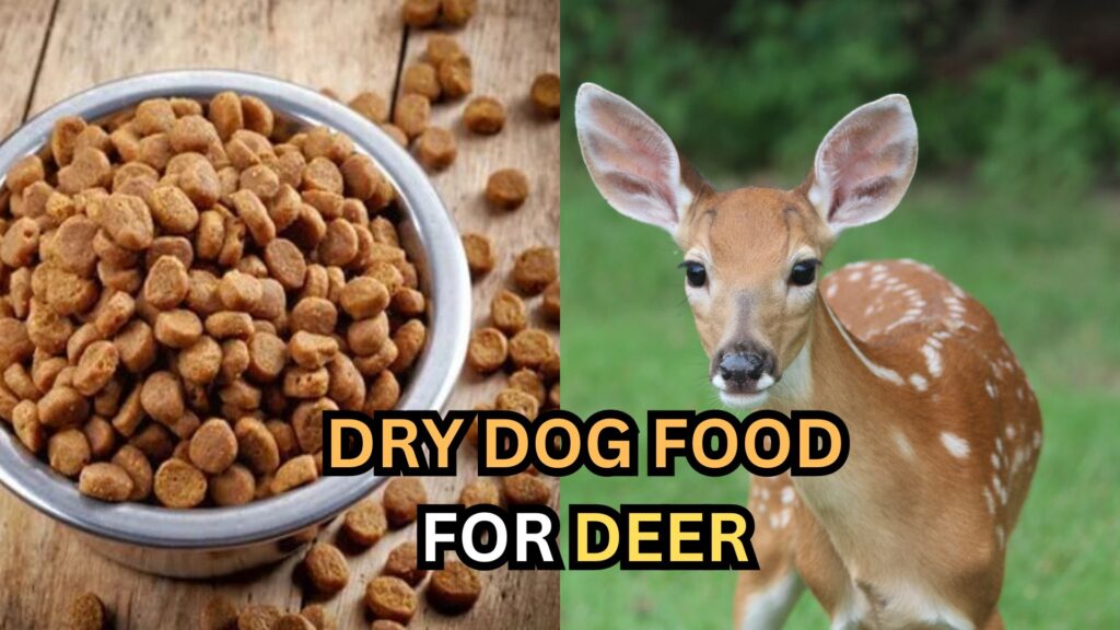 dry-dog-food-for-deers