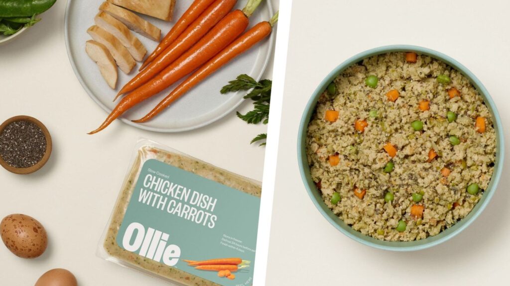 ollie-chicken-dish-carrots-dog-food-review