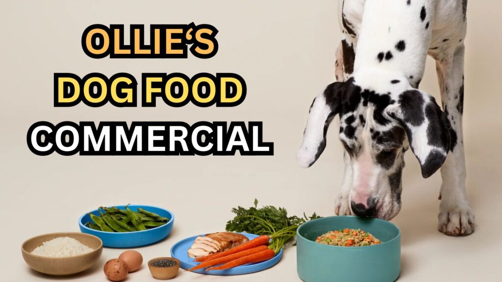 ollie-dog-food-commercial