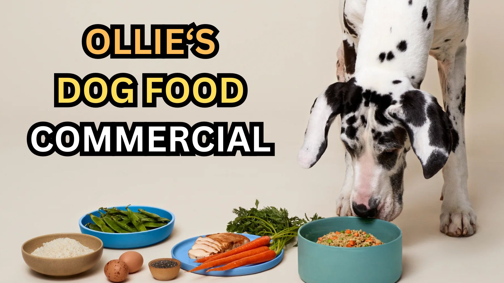 Ollie Dog Food Commercial Video 2024 Interesting Facts