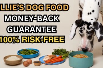 ollie-dog-food-money-back-guarantee-terms
