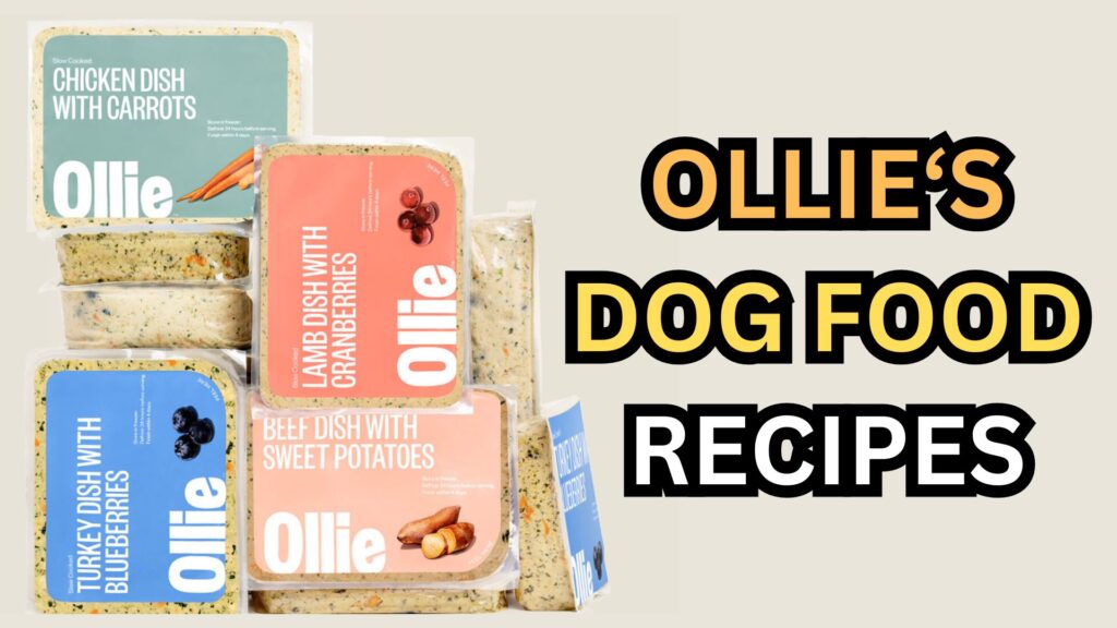 ollie-dog-food-recipe