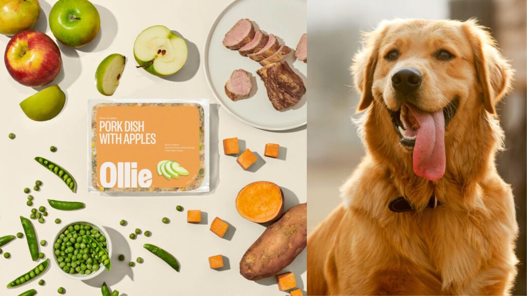 ollie-pork-and-apple-dog-food-with-limited-ingredients