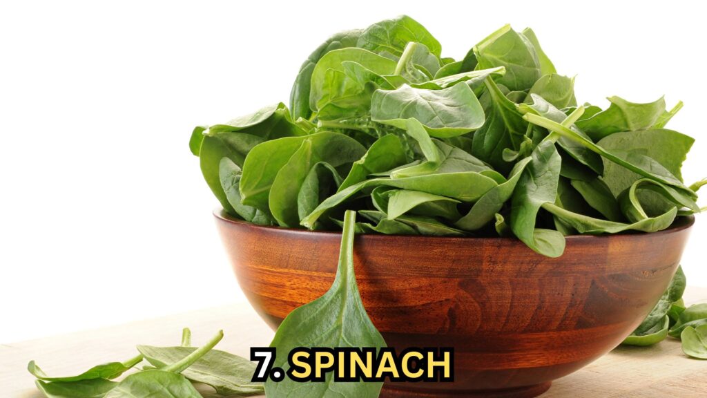 spinach-for-dogs