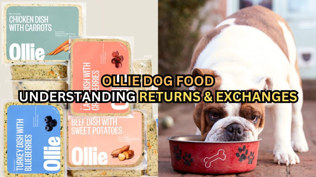 understanding-returns-and-exchanges-of-ollie-dog-food