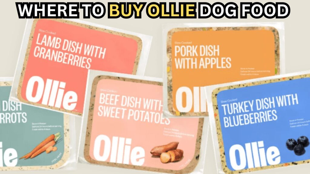 where-to-buy-ollie-dog-food
