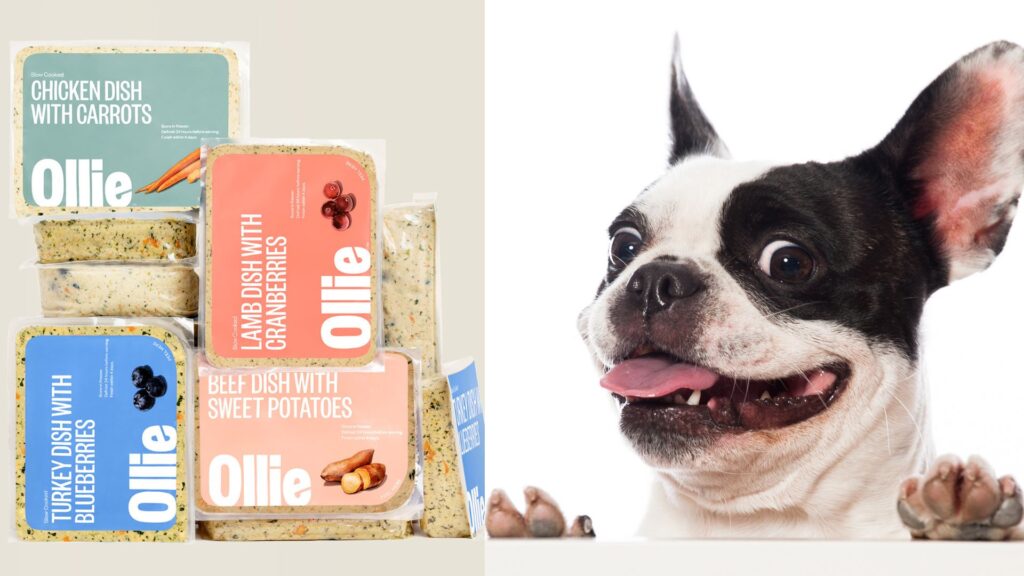 Ollie-dog-food-tailored-nutrition-for-french-bulldogs