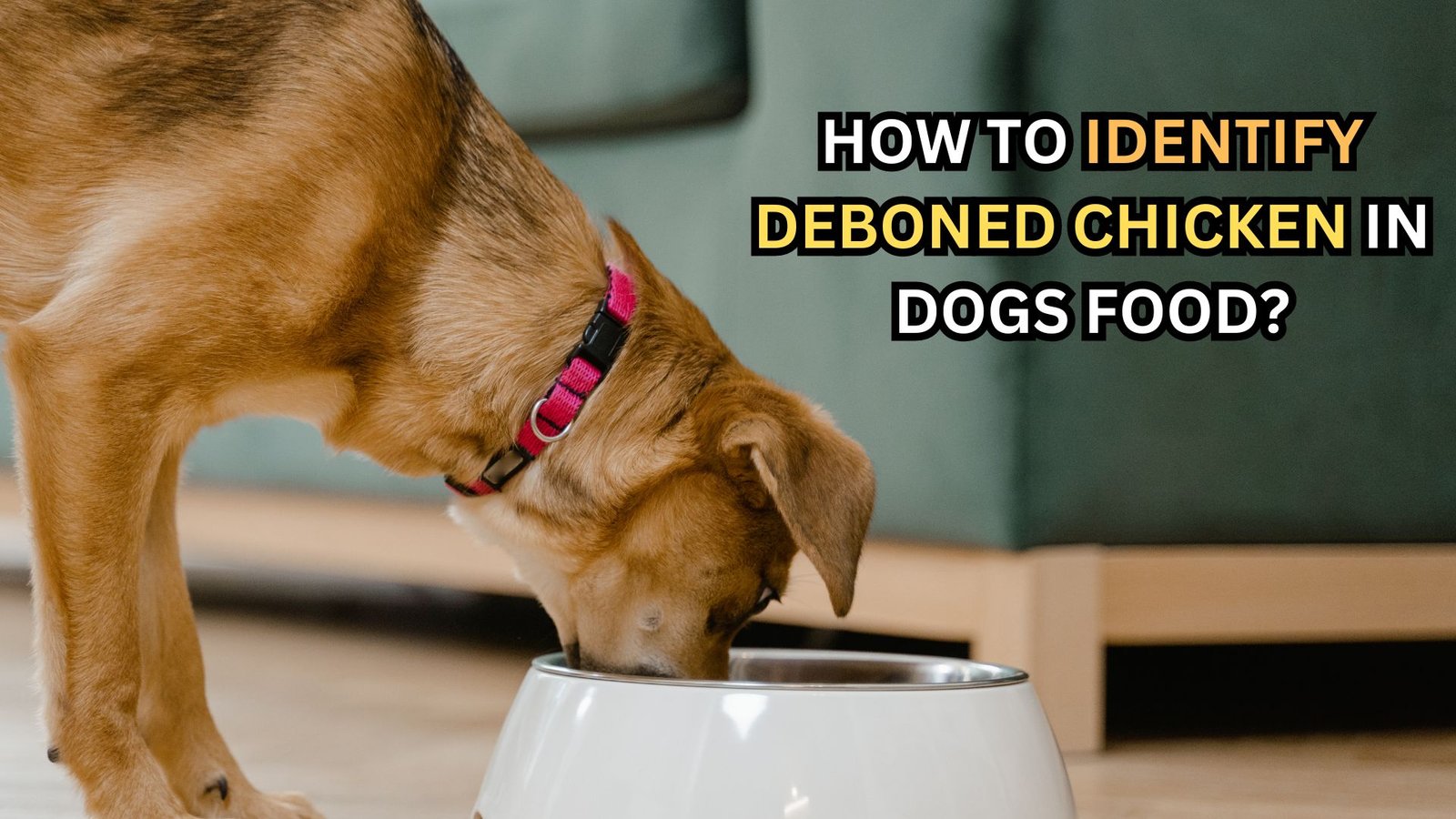 Deboning Dog What is Deboned Chicken in Dog Food? | Benefits & Drawbacks