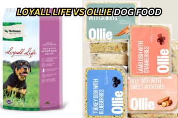 loyall-life-vs-ollie-dog-food-complete-comparison