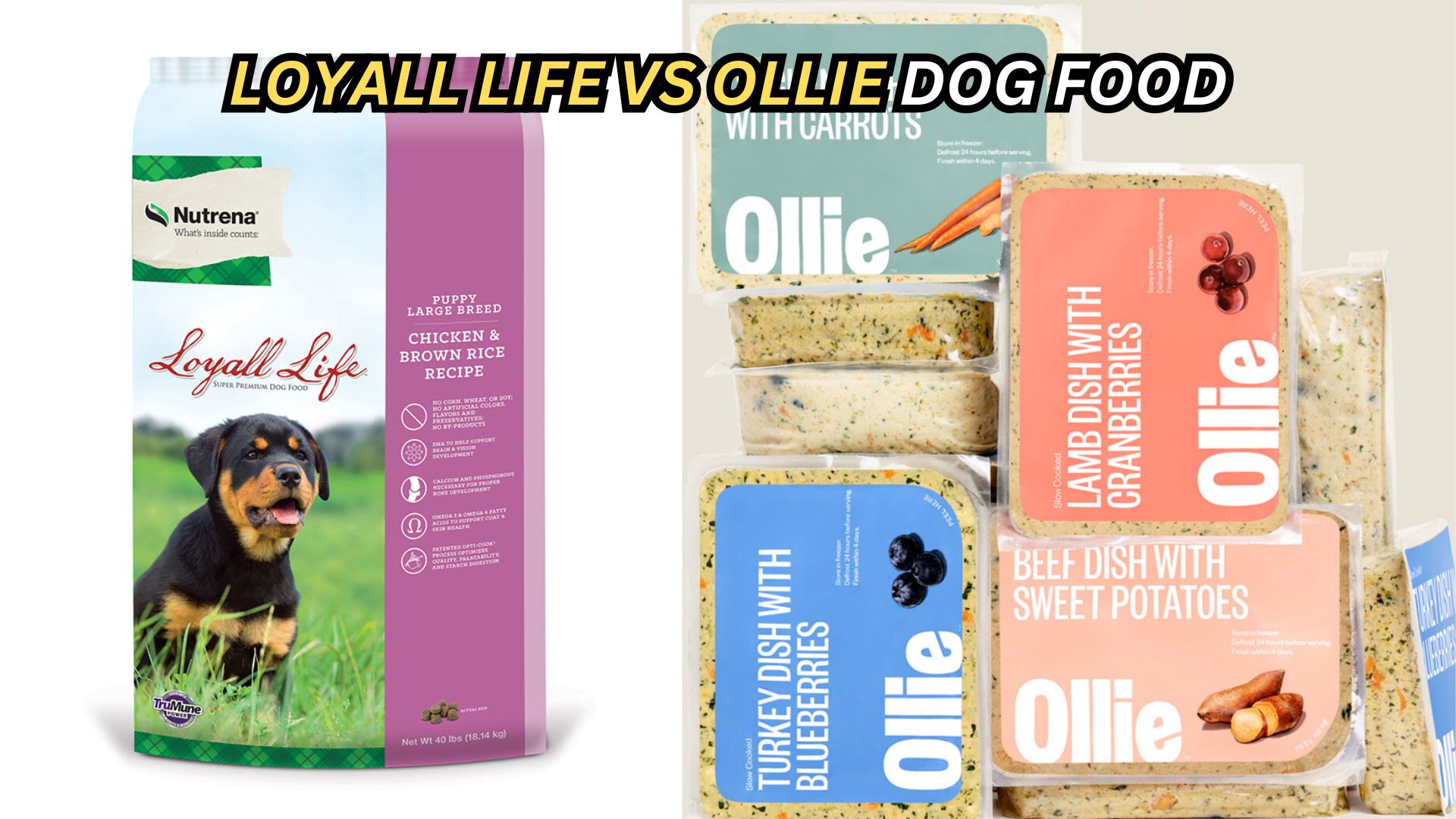 Loyall Life vs. Ollie Choosing the Right Dog Food
