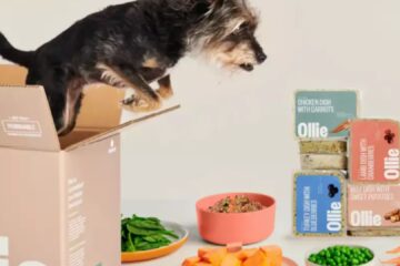 ollie-dog-food-complaints
