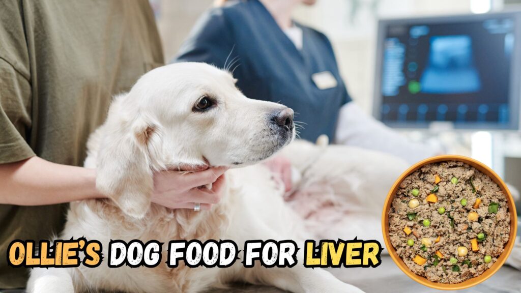 ollie-dog-food-for-liver-health