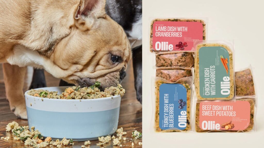 ollie-dog-food-health-related-compaints-and-concerns