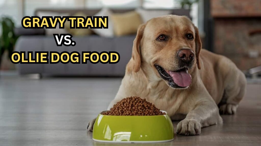 ollie-vs-gravy-train-dog-foods-overview