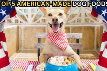 top-five-american-made-dog-food-brands
