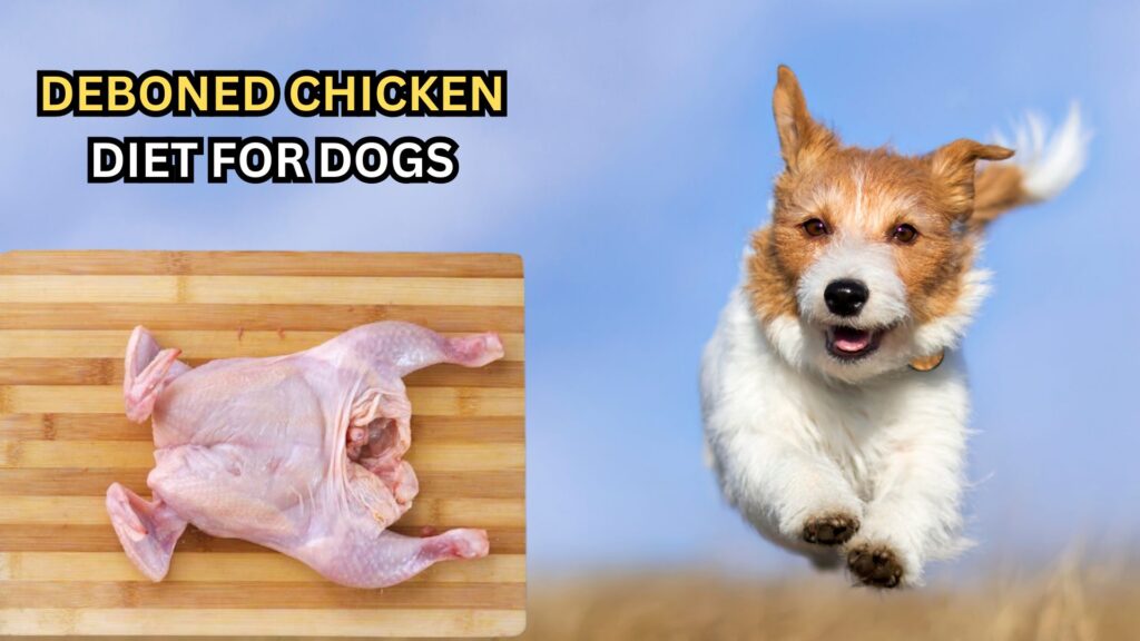 what-is-deboned-chicken-diet-for-dogs