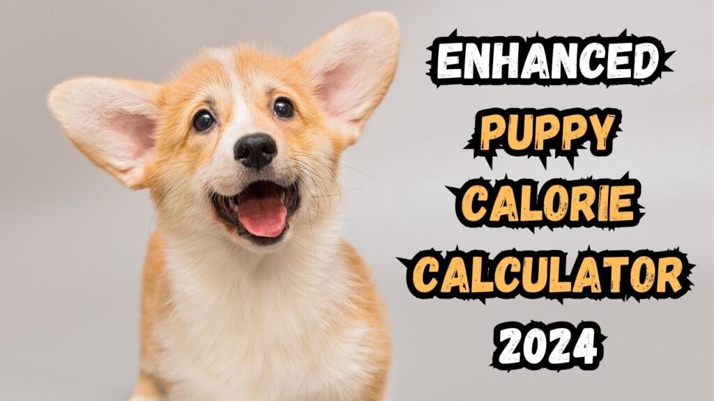 enhanced-puppy-calorie-calculator-free-online-tool-2024
