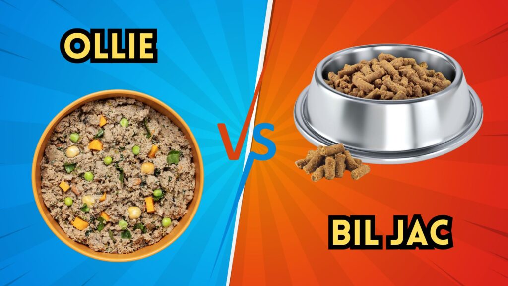 ollie-vs-bil-jac-dog-food-benefits