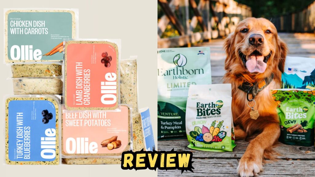 ollie-vs-earthborn-dog-food-review