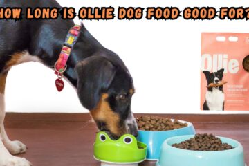 how-long-is-ollie-dog-food-good-for