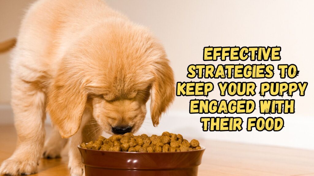 effective-strategies-to-keep-your-puppy-engaged-with-their-food