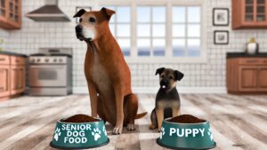 feeding-puppy-food-to-aging-dogs-pros-and-cons