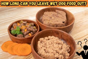how-long-can-you-leave-wet-dog-food-out