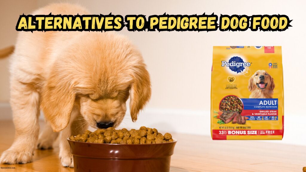 top-five-alternatives-to-pedigree-adult-dog-food