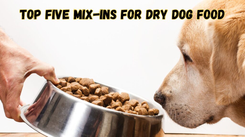 top-five-mix-ins-for-dry-dog-food