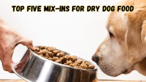 top-five-mix-ins-for-dry-dog-food