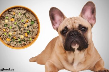 ollie-dog-food-for-french-bulldogs-risks-benefits-image