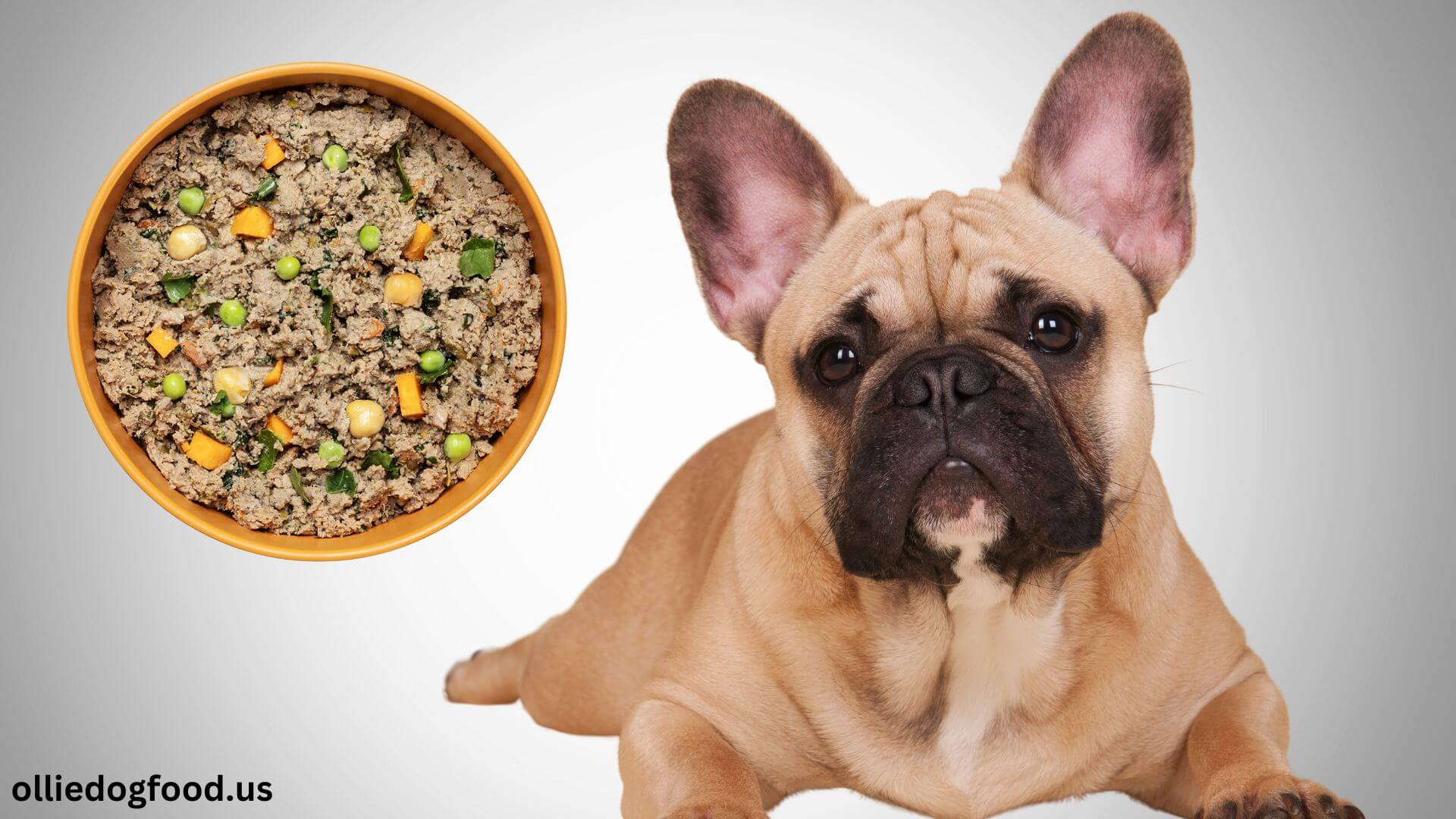 ollie-dog-food-for-french-bulldogs-risks-benefits-image